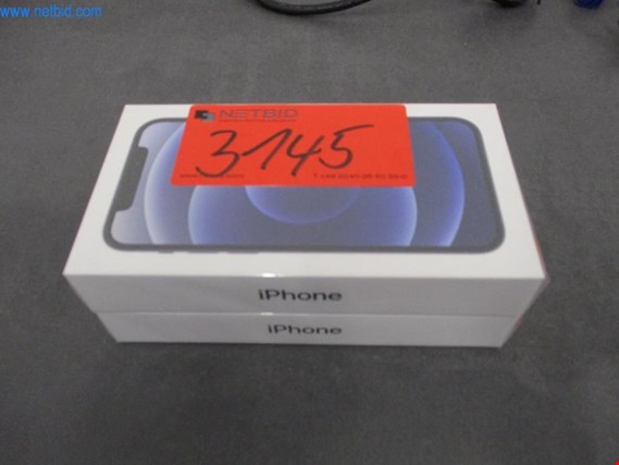 Used Apple iPhone 12 2 Smartphones for Sale (Auction Premium) | NetBid Industrial Auctions