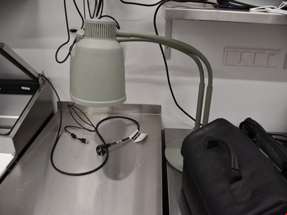 Stayhot LPF2-CG Heat lamp - surcharge with reservation (Auction Premium) | NetBid España