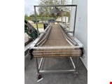 Inspection conveyor with scales