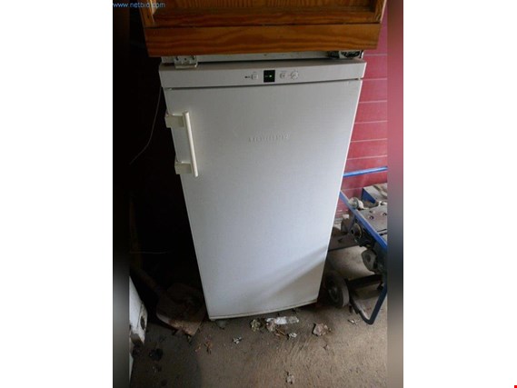 Liebherr G 2011 Tiefkühlschrank gebraucht kaufen (Auction Premium) | NetBid Industrie-Auktionen