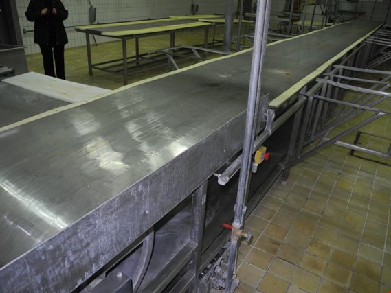 Used Conveyor belt stainless for Sale (Trading Premium) | NetBid Industrial Auctions