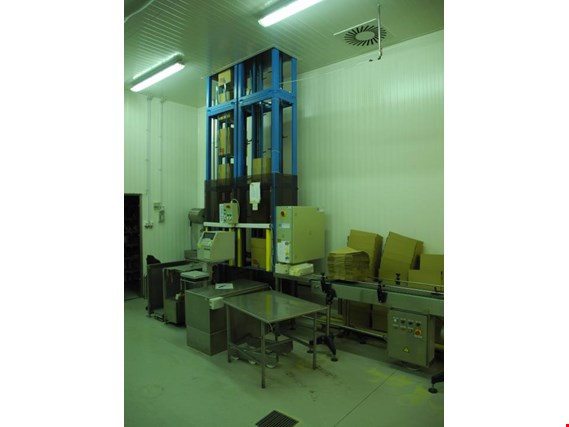 Used VIRO ZALOGOVNIK 1 Card board box supply and lifting station for Sale (Trading Premium) | NetBid Industrial Auctions