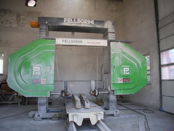 Used PELLEGRINI Robot Wire 1600 Rope frame sawing machine for Sale (Auction Premium) | NetBid Industrial Auctions