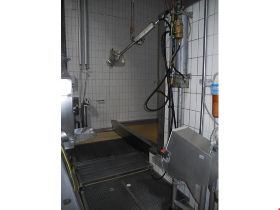 Used Horn and front leg cutting station for Sale (Trading Premium) | NetBid Slovenija