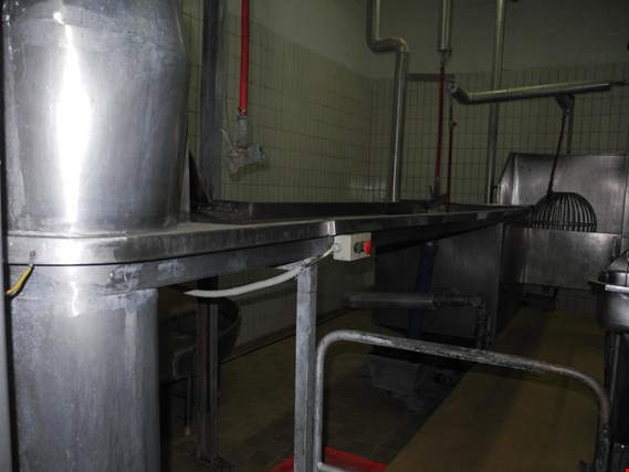 Stomach cleaning room for cattle and pig (Trading Premium) | NetBid España