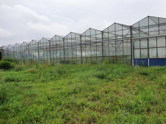 Used Venlo Greenhouse for Sale (Auction Premium) | NetBid Industrial Auctions