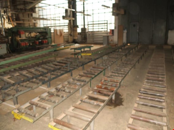 Used Roller conveyors, approx. 330 m for Sale (Auction Premium) | NetBid Industrial Auctions